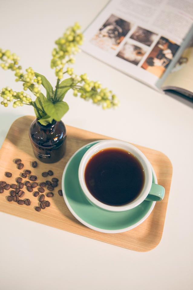 22281667_1926665747349140_7310401470401158023_n